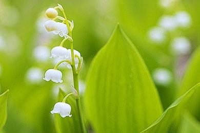 科幻版《寂静岭》？Bloober新作《时间旅者：重生曙光》概念图曝光